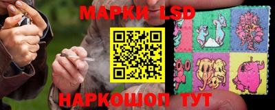 гидра Шебекино
