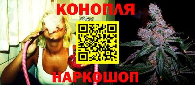 гидра Шебекино