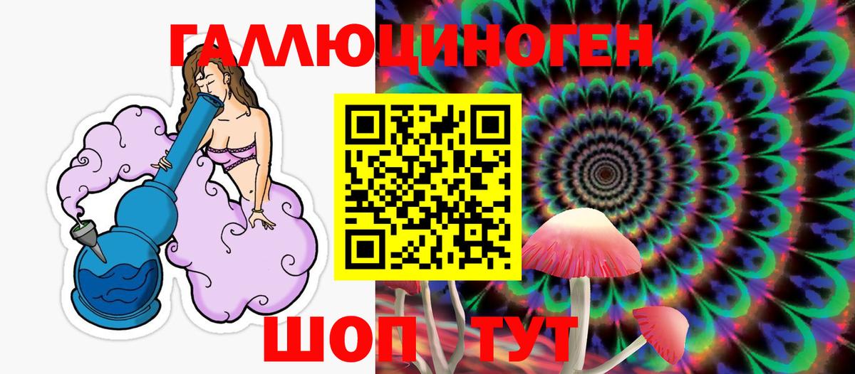 Псилоцибиновые грибы Cubensis Бийск