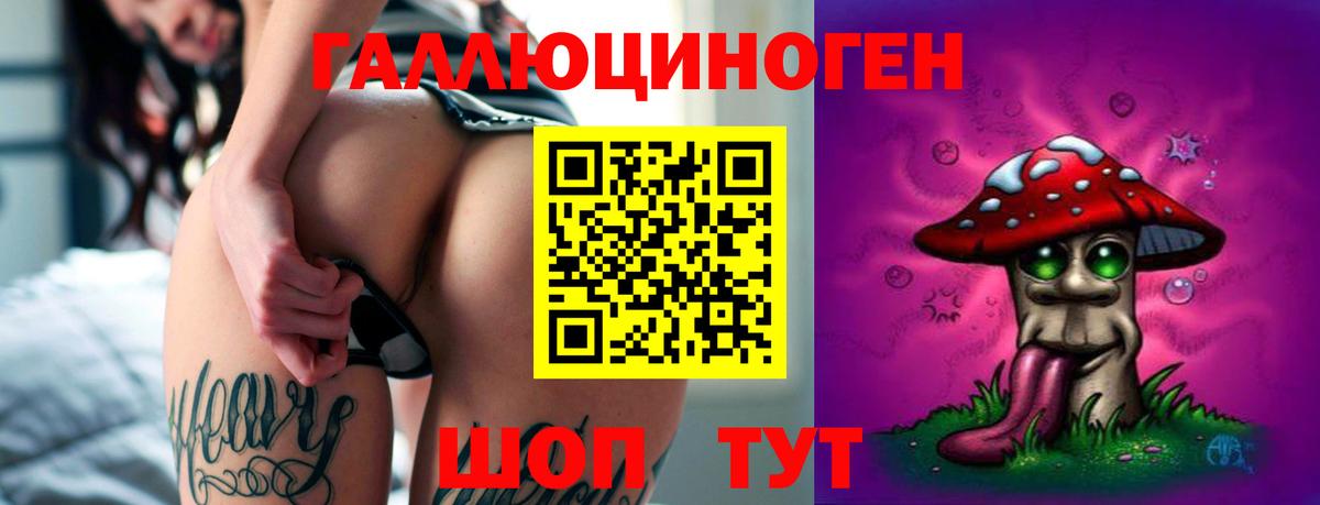 Галлюциногенные грибы Magic Shrooms  Вход с VPN  хочу   Бийск 