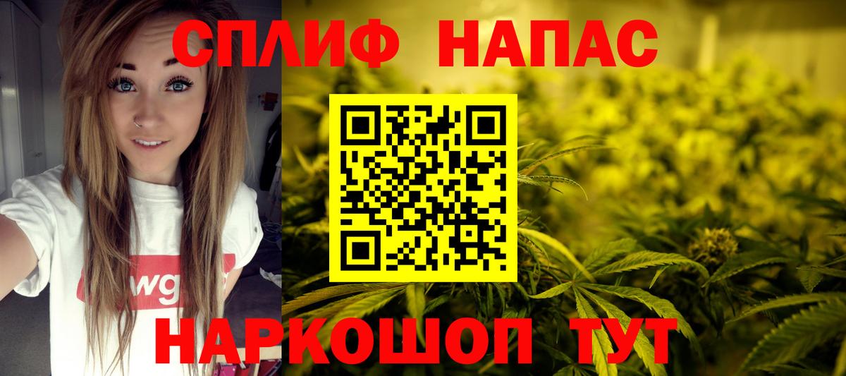 Бошки марихуана конопля Бийск